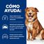 370 g Hill's Prescription Diet Derm Complete lata para perros, , large indicador imagen numero 4